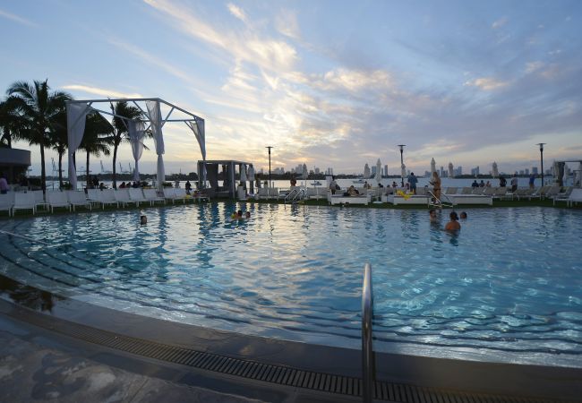 Apartment in Miami Beach - Outstanding 1BR Suite Pool & Bay View Apartment in Miami Beach - Outstanding 1BR Suite Pool & Bay View